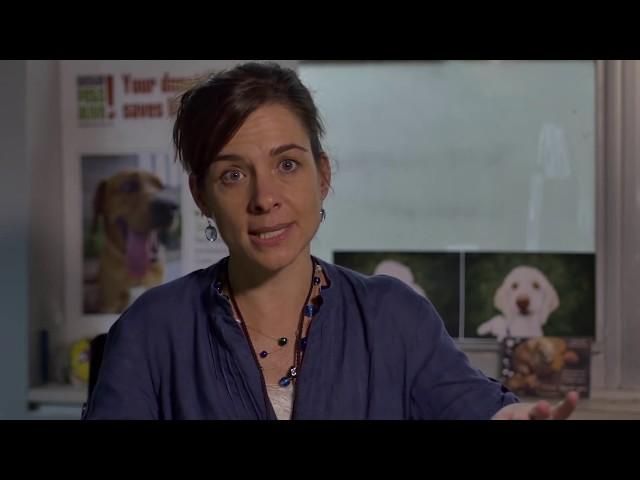 Austin Pets Alive's Dr Ellen Jefferson Makes Case For Dogs In Austin - The Rescuers' DNA