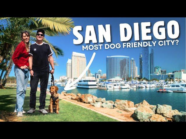 A PERFECT WEEKEND IN SAN DIEGO - Things To Do, See, & Eat (Dog friendly!)