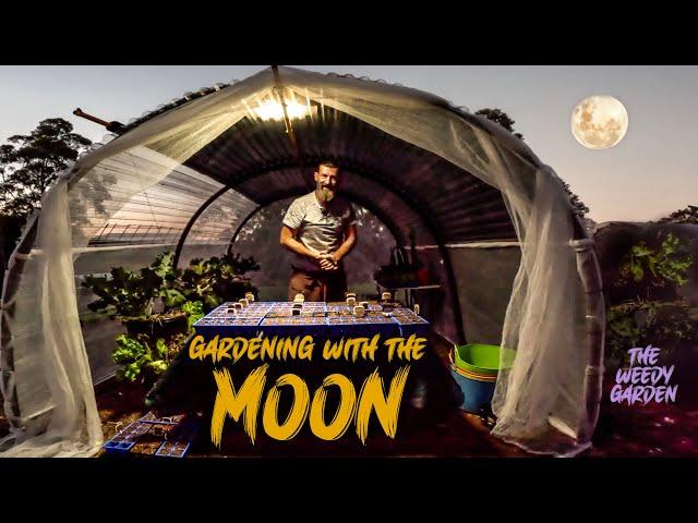 Moon Planting And Gardening Guide | Moon Planting: Unlocking the Full Potential of Your Seeds