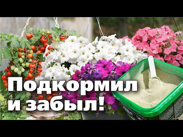 Что добавить в почву для горшков и кашпо. Нашла отличный вариант!