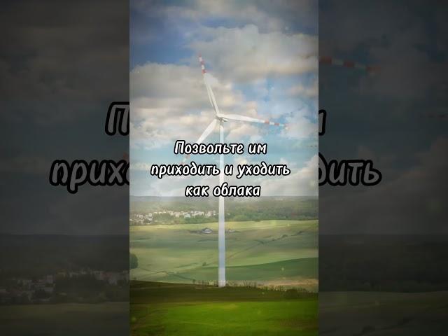 Мысли мешают медитировать? #медитация #саморазвитие