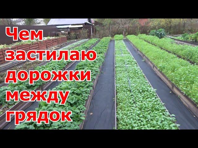 Дорожки (проходы) между грядками. Из чего мои дорожки между грядок, огород без сорняков и грязи