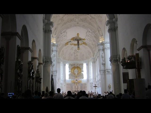 Würzburger Dom Würzburger Cathedral Wurzburg, Bavaria, Germany 維爾茨堡主教座堂