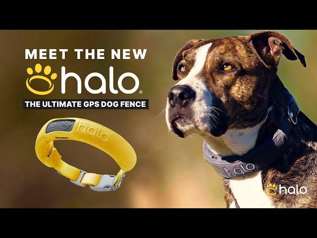 INTRODUCING THE HALO COLLAR 3 - THE ULTIMATE GPS DOG FENCE AND TRACKER