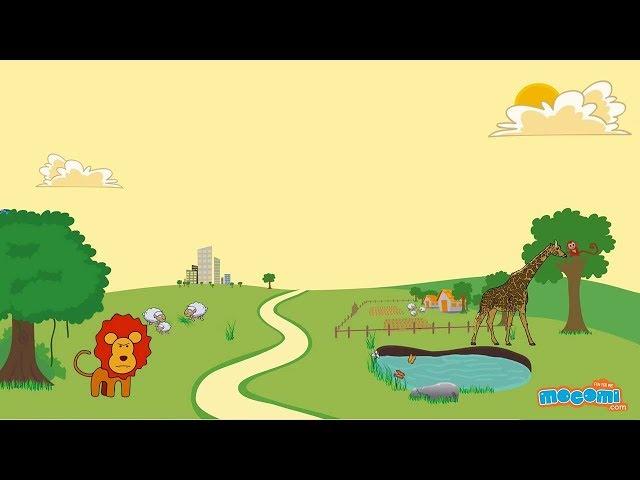 Environment and Ecology Facts - Environment Science for Kids | Educational Videos by Mocomi