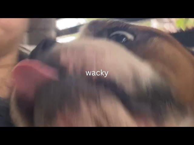 Wacky