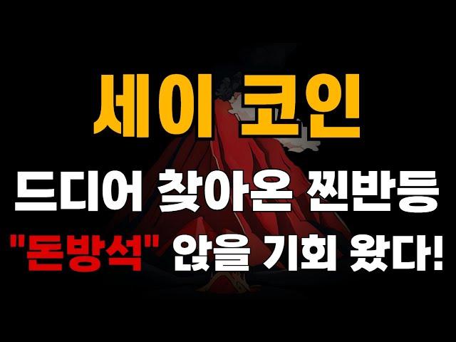 [세이 코인] 드디어 찾아온 찐반등 "돈방석" 앉을 기회 왔다!