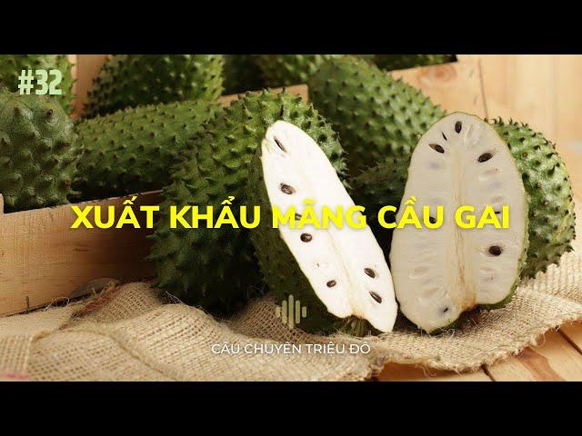 Xuất khẩu mãng cầu gai sang Nhật Bản | Câu Chuyện Triệu Đô - Podcast #32