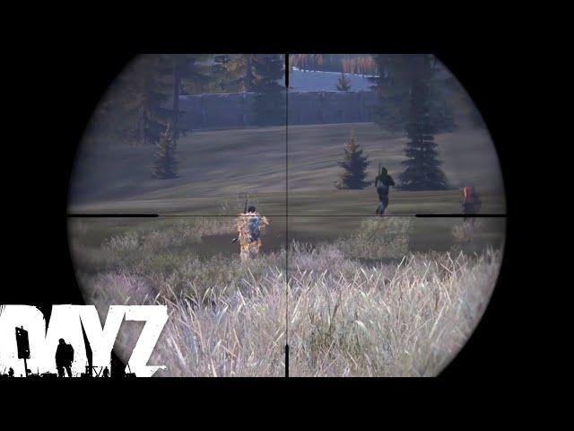 Unique Moments #6 - DayZ