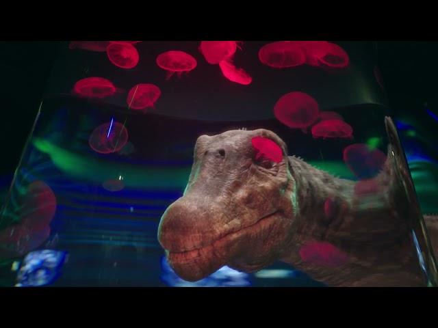 The World’s Largest Dinosaurs | California Academy of Sciences (15)