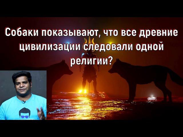 Собаки показывают, что все древние цивилизации следовали одной религии? [№ B-068.16.01.2022.]