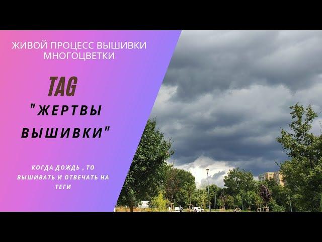 ТЕГ "Жертвы вышивки".  Живой процесс #вышивки #многоцветки