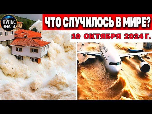 Катаклизмы за день 10.10.2024! катаклизмы сегодня новости сегодня  События Дня чп новый выпуск