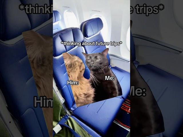 CAT MEMES You bought a plane ticket at 4:30am to save money #catmemes #relatable #relationship