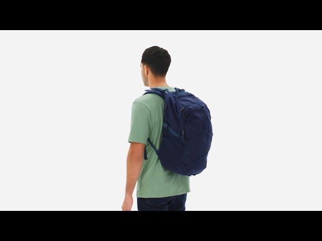 Patagonia® Refugio Daypack 30L