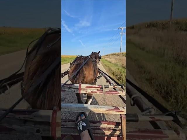 Clyde driving