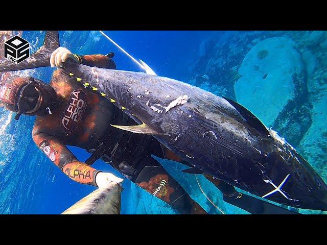 PESCASUB TONNO Gigante Pesca al Dentice Giant BLUEFIN TUNA SPEARFISHING 2024