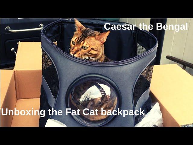 Unboxing and testing "The Fat Cat" backpack. Backpack bubble carrier for your cat!