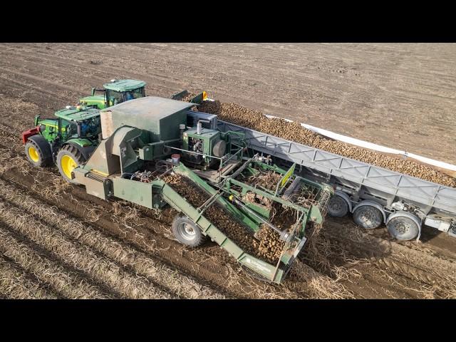 Harvesting Potatoes w/ John Deere 6R185 & 8R310