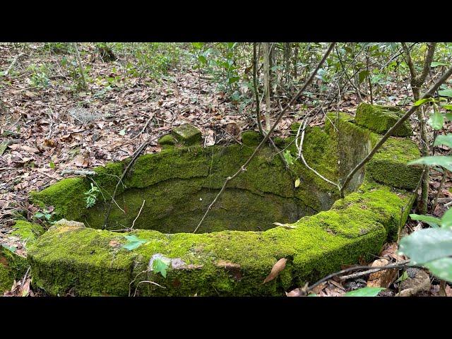 Old Homestead Site in Goethe State Forest