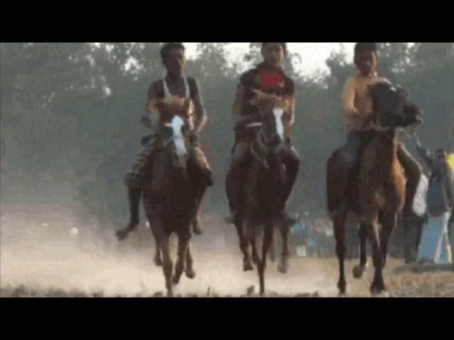 HORSE RACE IN BANGLADESH