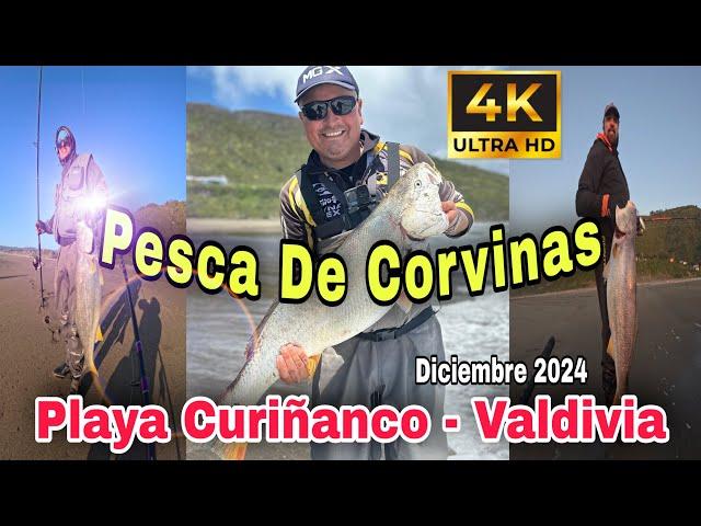 Pesca de Corvinas en Playa Curiñanco, Valdivia - Región de Los Ríos,  Chile.