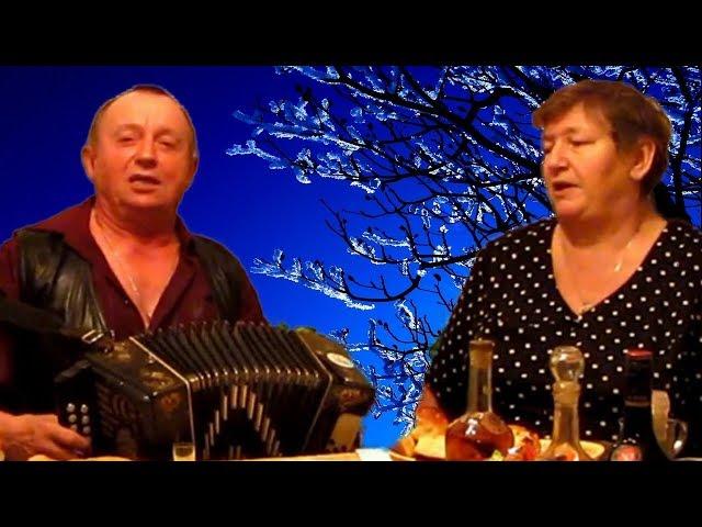 Седина ты моя, седина   ПОТРЯСАЮЩАЯ песня о ТРАГЕДИЯХ  ВОЙНЫ под ГАРМОНЬ  Russian folk song!