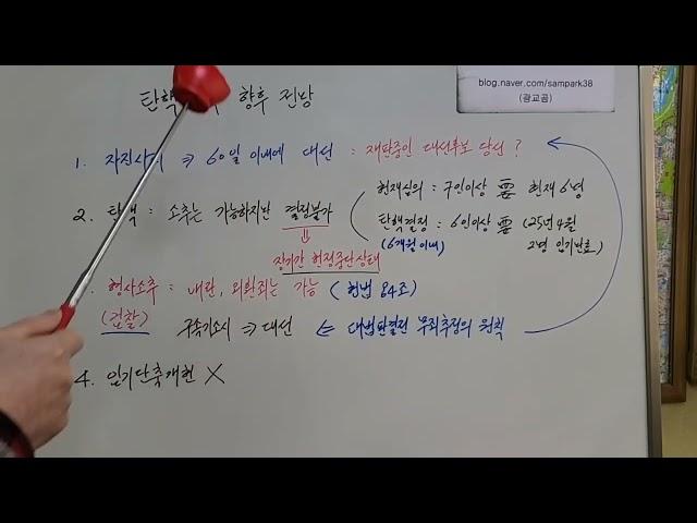 탄핵정국 향후 전망