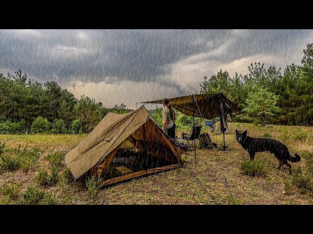 Heavy Rain Camping in Chalet Tent with my Dog - Relaxing in The Tent, Cosy Night, Thunder