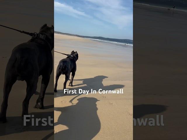 My First Day In Cornwall