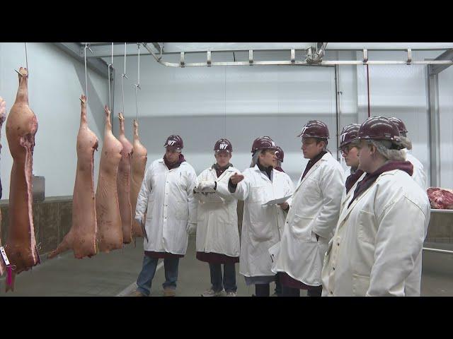 WT Meat Judging Team succeeds in Cargill Competition