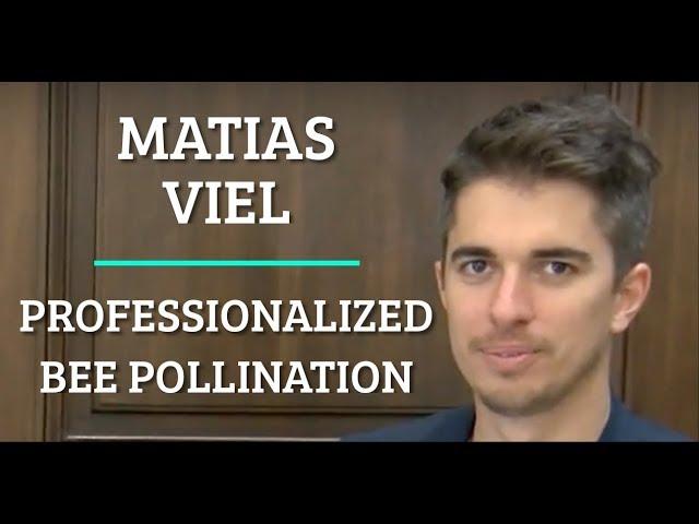 Simulation #62 Matias Viel - Professionalized Bee Pollination [Indie Bio]