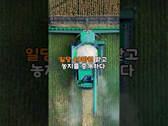 일당 40만원 받고 농지 중개하다 불법 용도변경 시도 포착 #shorts