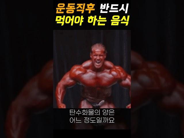 운동 후 단백질 프로틴 보다 더 중요하게 섭취해야 하는 음식 (탄수화물)