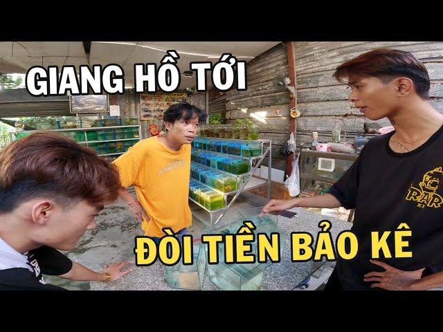 Giang Hồ tới đòi tiền bảo kê và phản ứng bất ngờ của Anh Nhí Betta