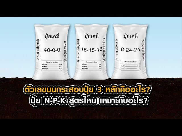 ตัวเลขบนกระสอบปุ๋ย 3 หลักคืออะไร?? ปุ๋ย N P K สูตรไหน!!  เหมาะกับอะไร??