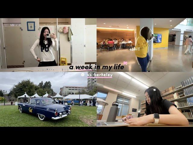 a week in my life @ uc berkeley ₊ ⊹⋆⭒˚｡⋆: midterms, cal day, solar eclipse, chem lab