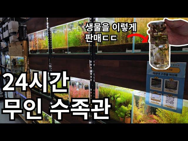 무인수족관은 얼마나 벌까?구피,베타,새우 등 없는게 없네요(원탑아쿠아리움 방문기)