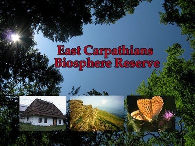 East Carpathians Biosphere Reserve.avi