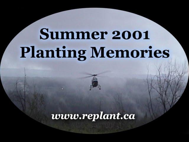 Replant.ca 2001 Summer Tree Planting Memories