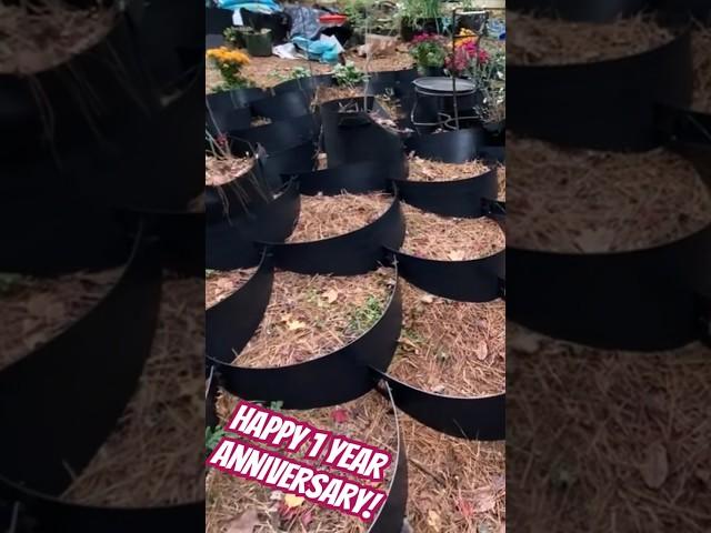 HAPPY ANNIVERSARY! Celebrating a full year of documented garden work!