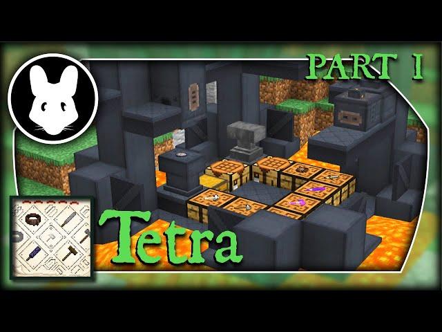Tetra mod Part 1: Basics! Bit-by-Bit by Mischief of Mice!