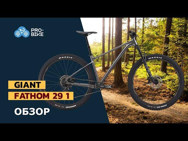 Горный велосипед Giant Fathom 29 1 (2022)