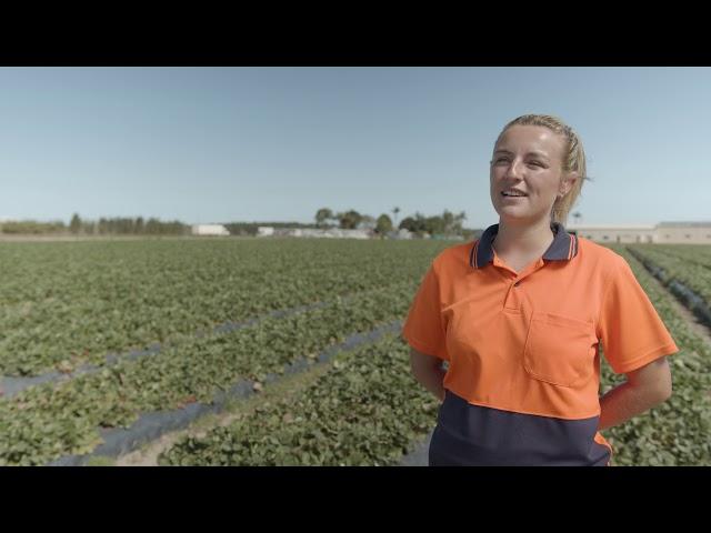 Queensland farm Management and Training Company Video