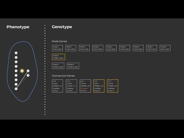 NEAT Algorithm Visually Explained