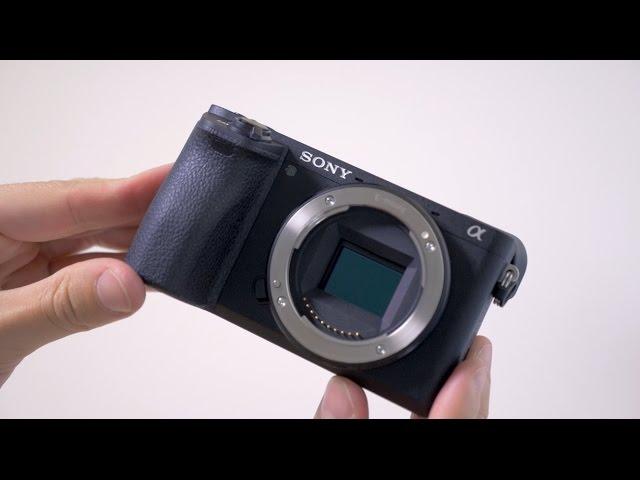 Sony a6500 - Review and Sample Photos