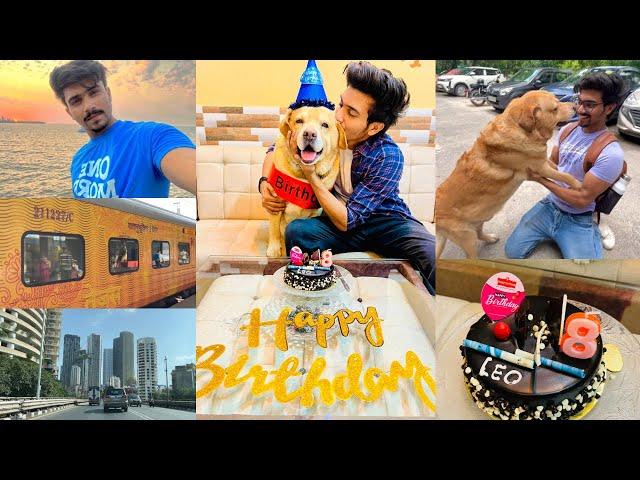 Travelling 1500kms to celebrate my dog’s birthday️ | Anant rastogi