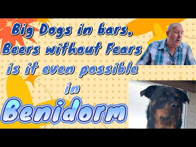 Benidorm Part 1 - Can we avoid the market, find a Guinness and take a Rottweiler around safely?