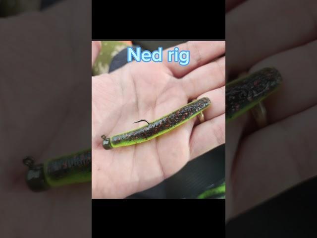 Top 5 Best Smallmouth Bass Lures #fishing #shorts #fish #bassfishing #lurefishing