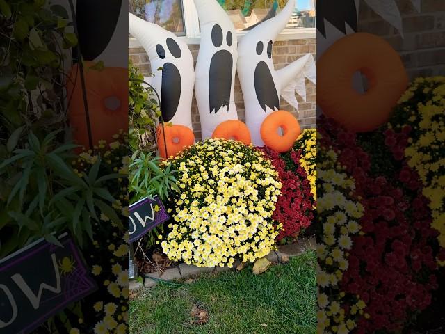 Flowers and Halloween decorations